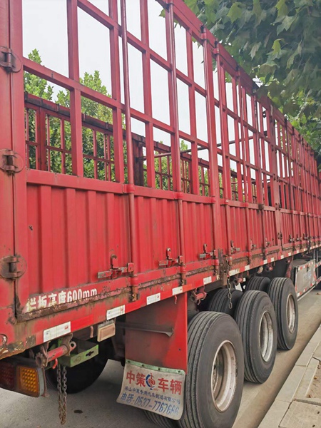 乐鱼二手挂车