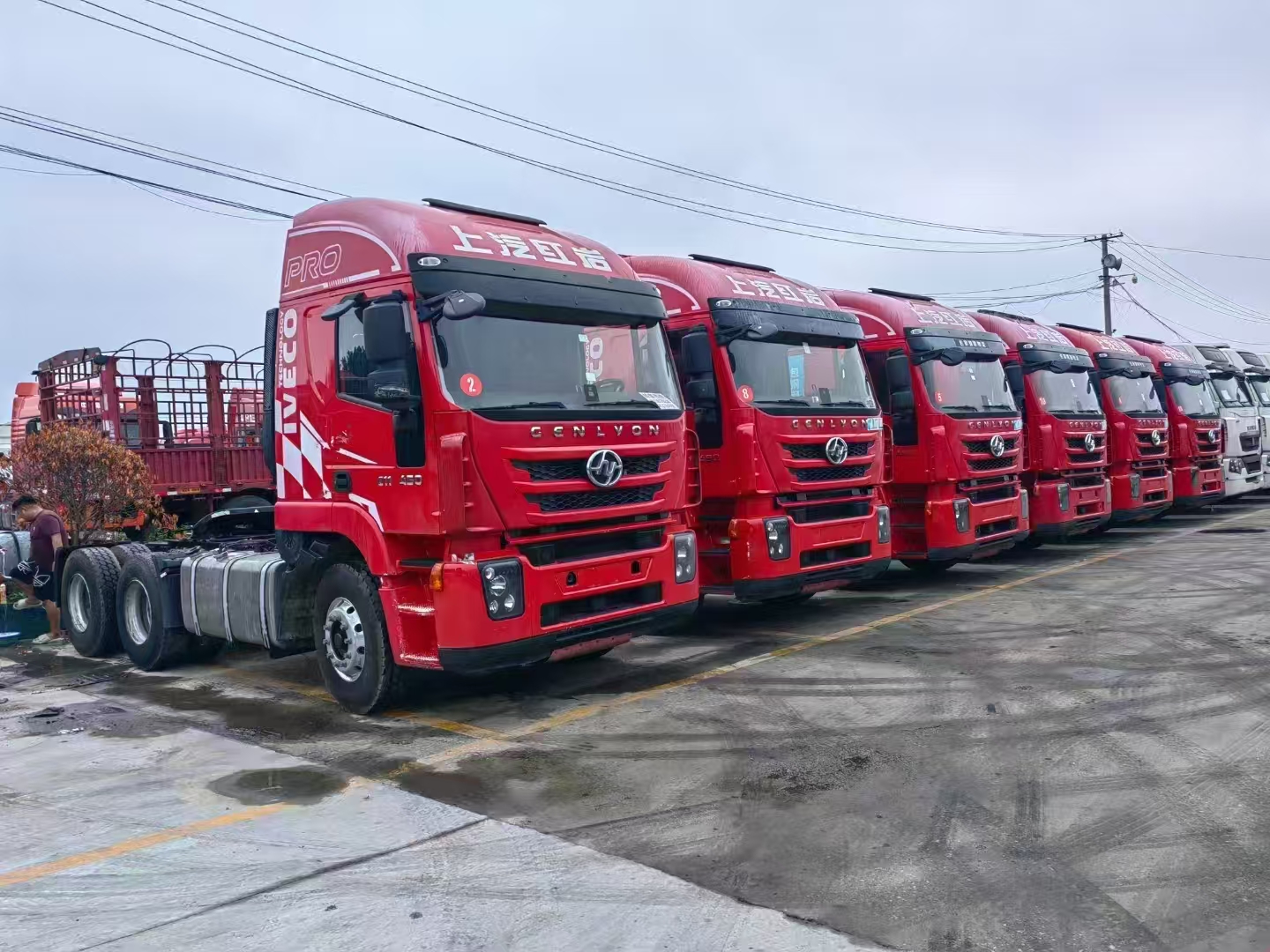 卡友老赵的乐鱼购车记：1500亩车场里的诚信暖阳